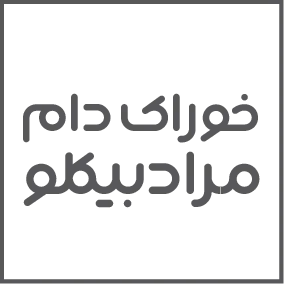 حامی ۶